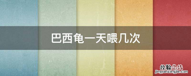 6厘米巴西龟一天喂几次 巴西龟一天喂几次