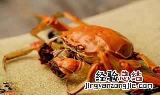 螃蟹怎么清洗 如何清洗螃蟹