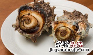 新鲜海螺可以直接冷冻吗 海螺可以直接冷冻吗