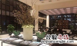 酒店收银台放什么植物好 酒店收银台风水布局