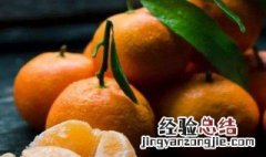 盆栽桔子树用什么肥料最好 桔子树用什么肥料最好