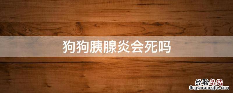 狗狗慢性胰腺炎会死吗 狗狗胰腺炎会死吗