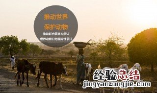 世界动物日是哪一天 世界动物日简介