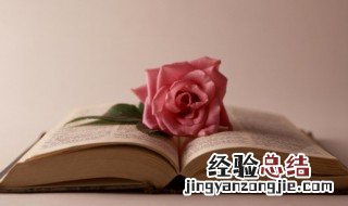 关于春暖花开的诗句有哪些 春暖花开时的诗句有哪些