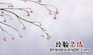 描写大雪的诗句有哪些 描写大雪的诗词句