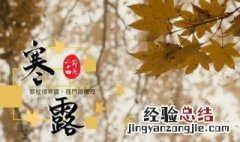 寒露节气如何养生 寒露节气养生的方法