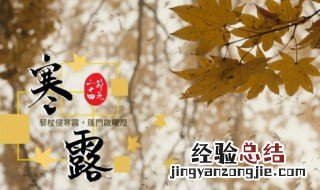 寒露节气如何养生 寒露节气养生的方法