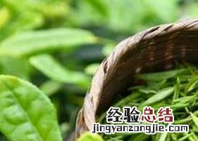 绿茶的美容功效与用法图片 绿茶的美容功效与用法