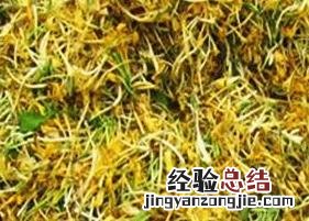 预防感冒的花茶有哪些 预防感冒的花茶有哪些品牌