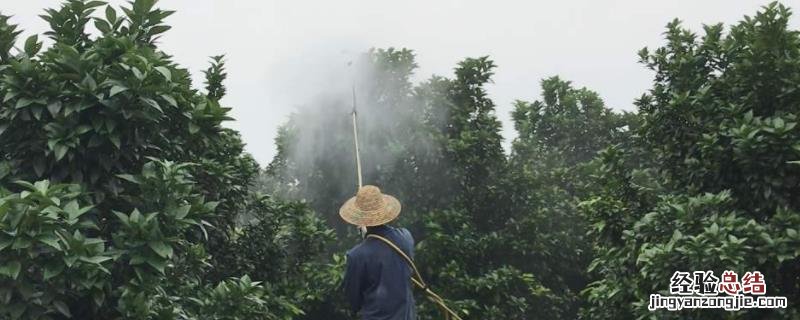 萘乙酸在果树上的使用方法，对植物的根茎起到什么作用