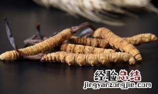 怎么吃冬虫夏草 冬虫夏草的正确吃法