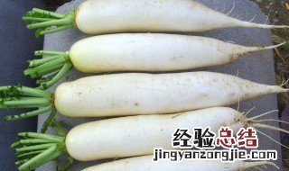 白萝卜是凉性还是热性 白萝卜是凉性的吗
