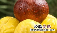 糖栗子怎么煮好吃 怎么煮栗子甜