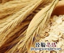 最适合睡前吃的4类安神食物有哪些 最适合睡前吃的4类安神食物