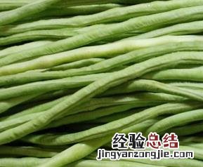 常见青菜的营养价值 常见青菜的营养价值有哪些