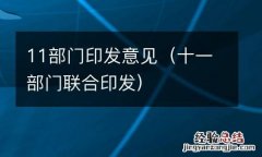 十一部门联合印发 11部门印发意见