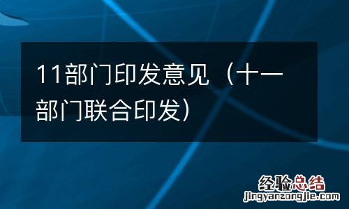 十一部门联合印发 11部门印发意见
