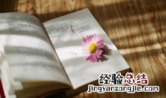 豪牦之差将致千里的意思