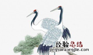 仙鹤和松树代表什么意思 仙鹤和松树代表什么