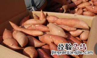 冬季番薯买回来怎么样保鲜呢 冬季番薯买回来怎么样保鲜