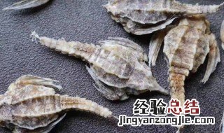 海麻雀的功效与作用 海麻雀的功效与作用是什么