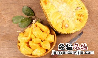 菠萝蜜的核怎么吃视频 菠萝蜜的核怎么吃