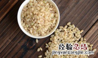 糙米怎么吃减肥 糙米吃减肥吗?