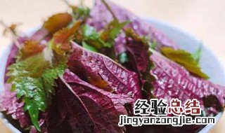 紫苏干叶有什么功效 干紫苏叶的功效与作用