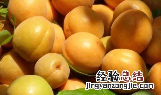 鲜杏保存方法 杏的储存和保鲜方法