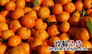 砂糖桔文案 沙糖桔的广告文案