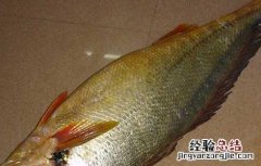 天价黄唇鱼 黄唇鱼为什么那么贵