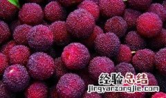 杨梅酒的功效 喝杨梅酒有什么好处