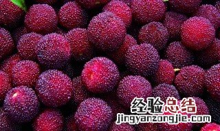 杨梅酒的功效 喝杨梅酒有什么好处