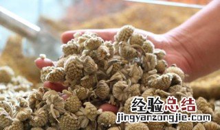 绿萝花的功效与作用 给大家介绍一下