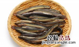 泥鳅什么季节吃最好 泥鳅哪个季节吃最好
