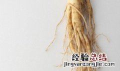 山参什么季节吃最好 野山参冬季什么时候吃最好