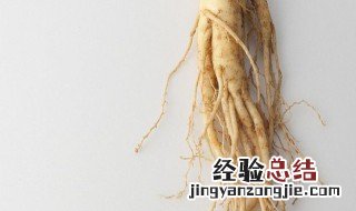 山参什么季节吃最好 野山参冬季什么时候吃最好