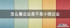 如何看是不是小微企业 怎么看企业是不是小微企业