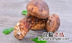 松茸吃法介绍 松茸的做法