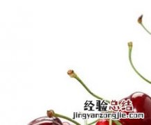 吃什么食物可以美白 吃什么食物可以美白效果最好