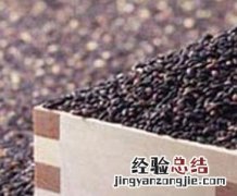 黑芝麻怎么吃最补肾效果好 黑芝麻怎么吃最补肾