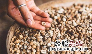 咖啡豆的生豆制作方法 咖啡豆的生豆制作方法是什么