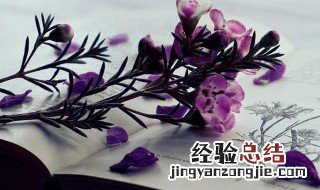 蕌怎么读 蕌读法