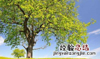 形容风景优美的成语 快收藏吧