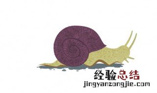 梦到蜗牛 梦到蜗牛是什么意思周公解梦