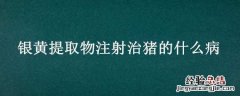 银黄提取物注射治猪的什么病 银黄提取物注射作用兽用猪能用吗