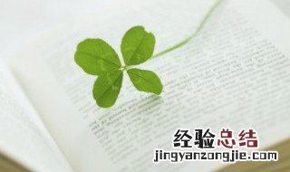 甲申三百年祭概括 甲申三百年祭内容