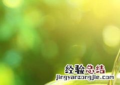 夏天喝什么红茶比较好对身体 夏天喝红茶的功效