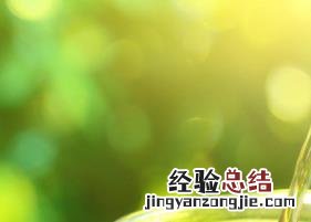 夏天喝什么红茶比较好对身体 夏天喝红茶的功效