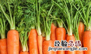 萝卜叶的功效与作用 萝卜叶的功效与作用简述
